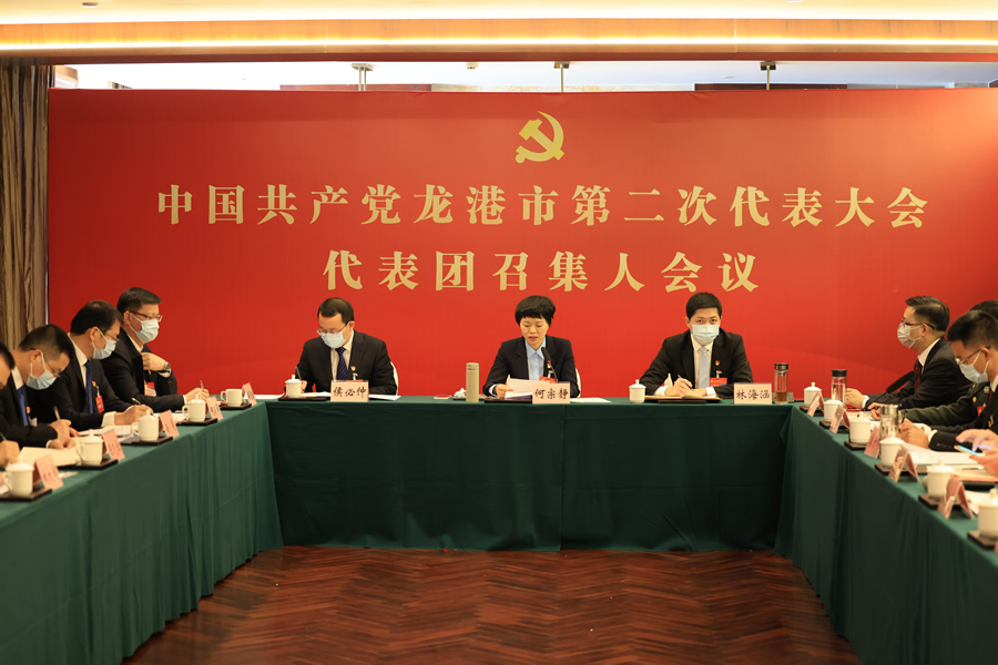 龙港市第二次党代会召开代表团召集人会议