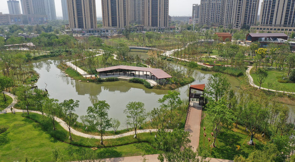 城市“绿肺”-龙港城市湿地公园
